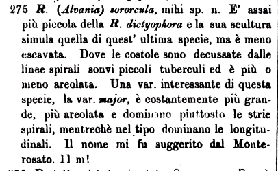 Rissoidae nel Mediterraneo: Genere Alvania